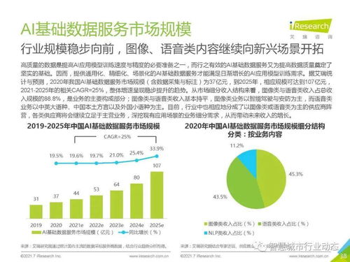 中國人工智能基礎軟件開發(fā)行業(yè)報告 2021 夯實智能底座，賦能產(chǎn)業(yè)變革